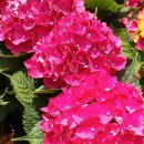 준이농장 이미지