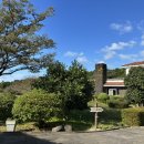 대유농장 | 체험매니아 제주도 감귤따기체험(도련감귤나무숲) / 실탄사격체험(대유ATV수렵사격랜드)