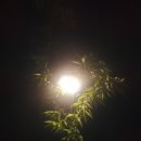 설악복식당 이미지