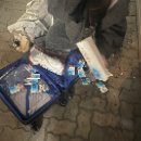 달자 이탈리안레스토랑 | [부다페스트 KRE 교환일기] Week 15 거주증을 찾았습니다! 불법체류자 탈출하다!