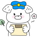 스테이 272 이미지