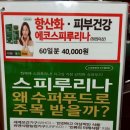 피부건강을 위한 에*코* 스피루리나 (10통 한정) 이미지