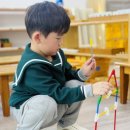 멘사창의유치원 이미지