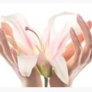 블랑쉬네일 - 고양시 일산서구 킨텍스로 240 | 블랑쉬네일