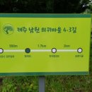 의귀리 김만일 묘역 이미지