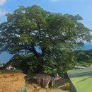 남해-300 이미지