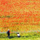 한경대학교부속농장 이미지