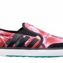 아젤리아 이미지