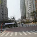거성인베스트 Daum카페