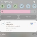날밤PC | 제22대 국회의원선거 선거권자 개표참관인 후기 (선관위 신청, 준비물 등)