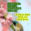 미스트롯2ㅡ 노래모음(갈라쇼)ㅡ 이미지