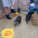 UR(경산시)-[백자로]-하-1 | 대구근교_경산 이웃집수달 데이트코스 완벽