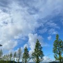 물새롬랜드오토캠핑장 이미지