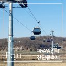 파주시 징집 제1차 | 파주장단콩축제2025 임진각 곤돌라 할인 예매 날씨 가볼만한곳