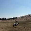 용눈이오름 주차장 | 제주 용눈이 오름에 탐방후기 ◡̈⋆