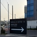 제주도 신라스테이 이호테우 프리미어 디럭스 패밀리 더블룸 오션뷰 내돈내산