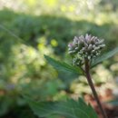 용소골농장 이미지