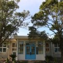 제주애견학교 이미지