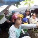 '가을 정취 물씬'…전국 방방곡곡서 축제 물결~~ 이미지