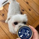 맛있댕 | 휴매니존 프리미엄 저칼로리 습식사료 맛있댕, 맛있냥 급여 후기