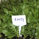부산에듀팜