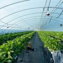 우성하이텍 이미지