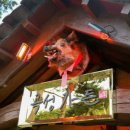 곡성-124 이미지