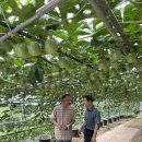 송암농원 이미지