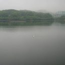 음을 따라온 행복 이미지