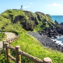 제주에산다면 이미지