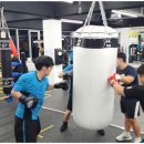 엘리트복싱클럽 이미지