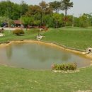 영재 par3 골프랜드 이미지