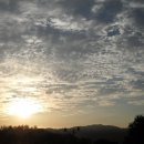 대월면사무소 이미지