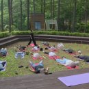 마음챙김 힐링 북요가 | [교사 연수/힐링 프로그램] 선생님을 위한 마음챙김 요가 및 스트레스 완화 특강 출강 안내