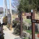 반디민박 이미지