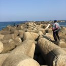 염전해변 이미지