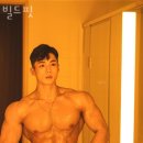 빌드핏
