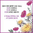 강릉시립미술관 이미지