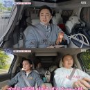 거미헤어