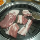 돼지zone 이미지