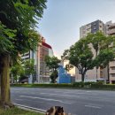 나고야스시덕 | 나고야 가나야마역 기념일 코스요리 맛집 金山 鉄板焼き TEPPAN EN 테판 엔 후기