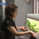 인기농장 이미지