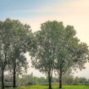 금천포차 이미지