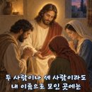 2026-09-06연중 제23주일＜그가 네 말을 들으면 네가 그 형제를 얻은 것이다.＞ 이미지