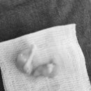 용인도담동물병원 이미지