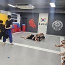 팀크로우 MMA 이미지