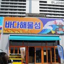 해물섬 | 경포대 맛집 미소 짓게 만들었던 바다해물섬 / 카페 툇마루 방문 후기