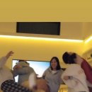 스테이 소야 이미지