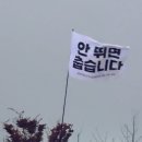 대명어울림도서관 | 2025 세종 보헤미안 뮤직 페스티벌 일요일 후기 (숙소, 입장, 이벤트 부스, 푸드트럭, 한로로, 글렌체크...