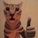 중랑중학교 | 다들 힘내조 (거꾸로 읽어보세요)